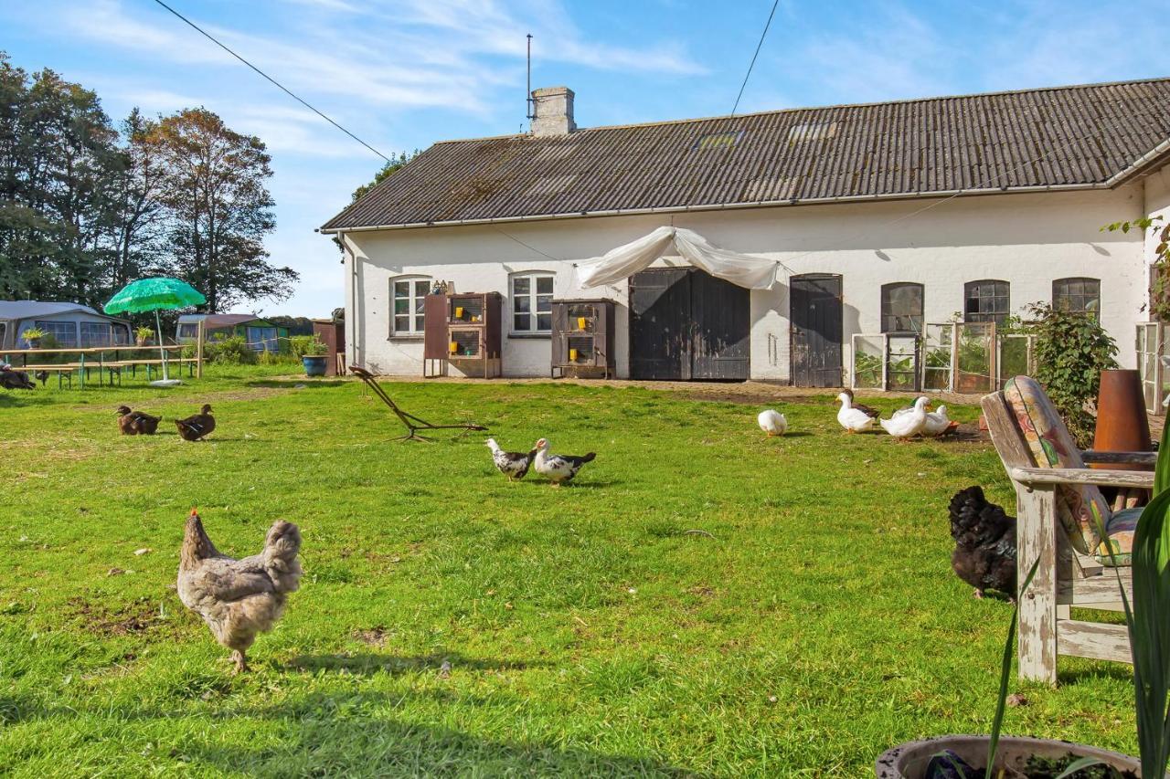 Skortskaer Bondegardsferie Bed & Breakfast Havnso  Room photo